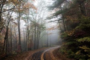 where to go for fall foliage 2018