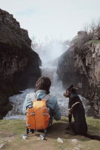 traveling with your pet